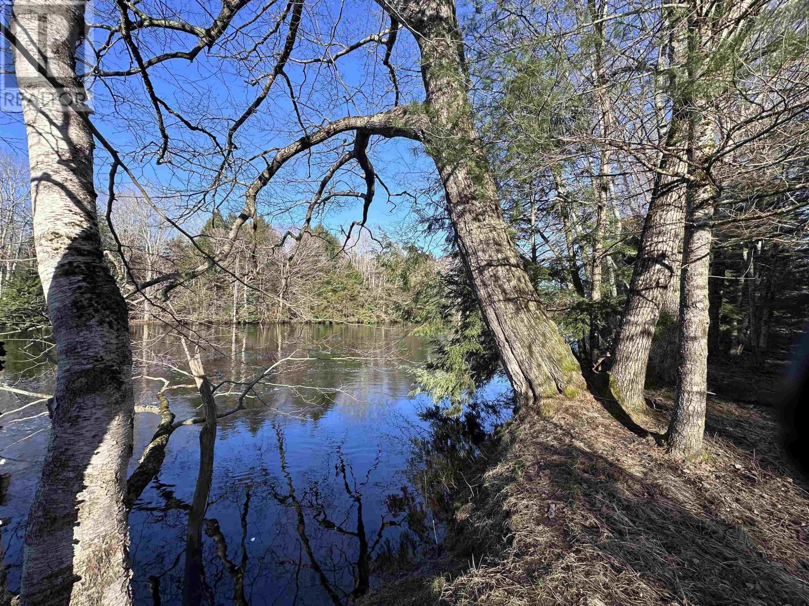 For sale Lot Highway 10, PID60711322, Cookville, Nova Scotia B4V7R3 202405587 REALTOR.ca