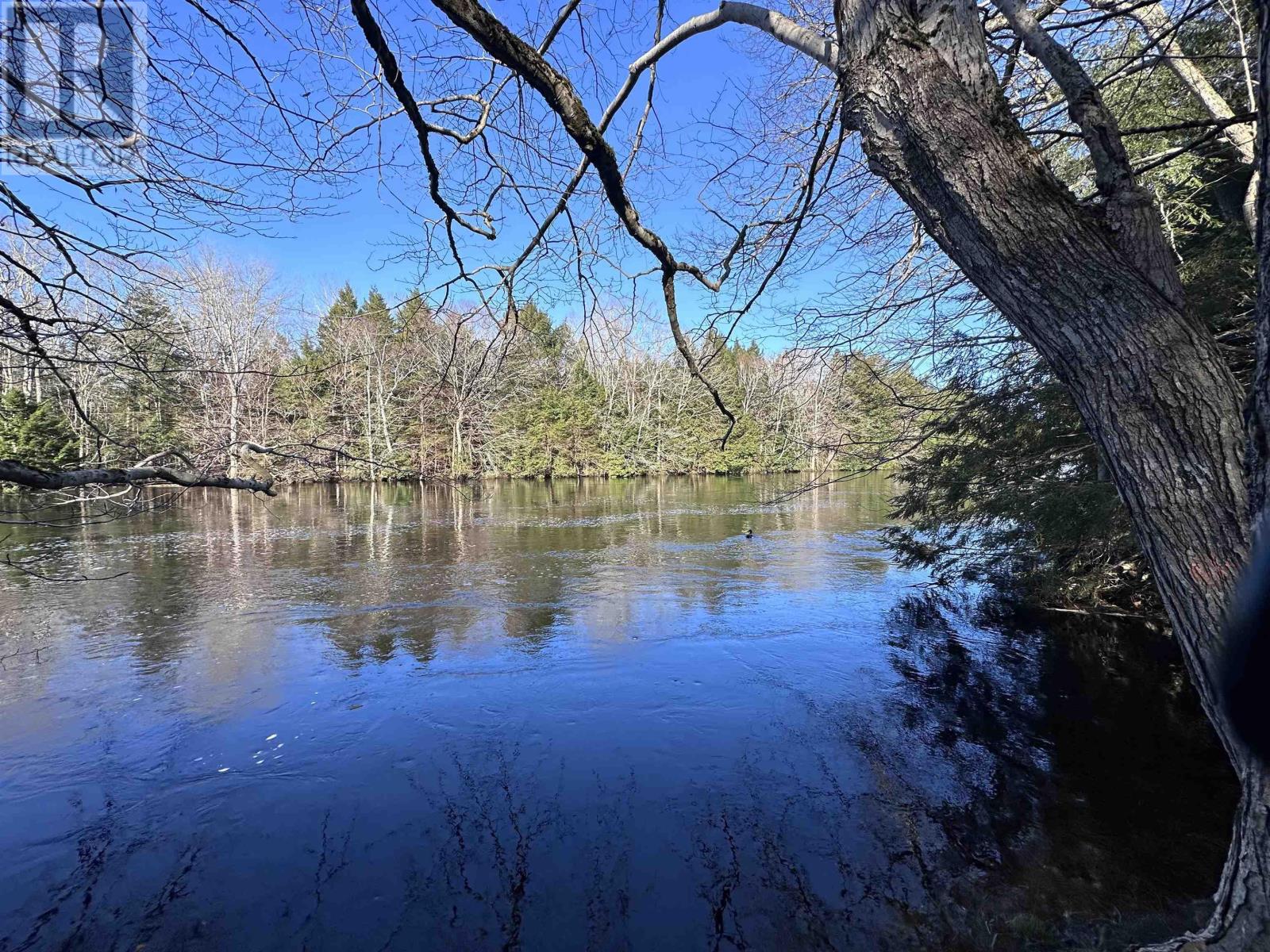 For sale Lot Highway 10, PID60711322, Cookville, Nova Scotia B4V7R3 202405587 REALTOR.ca