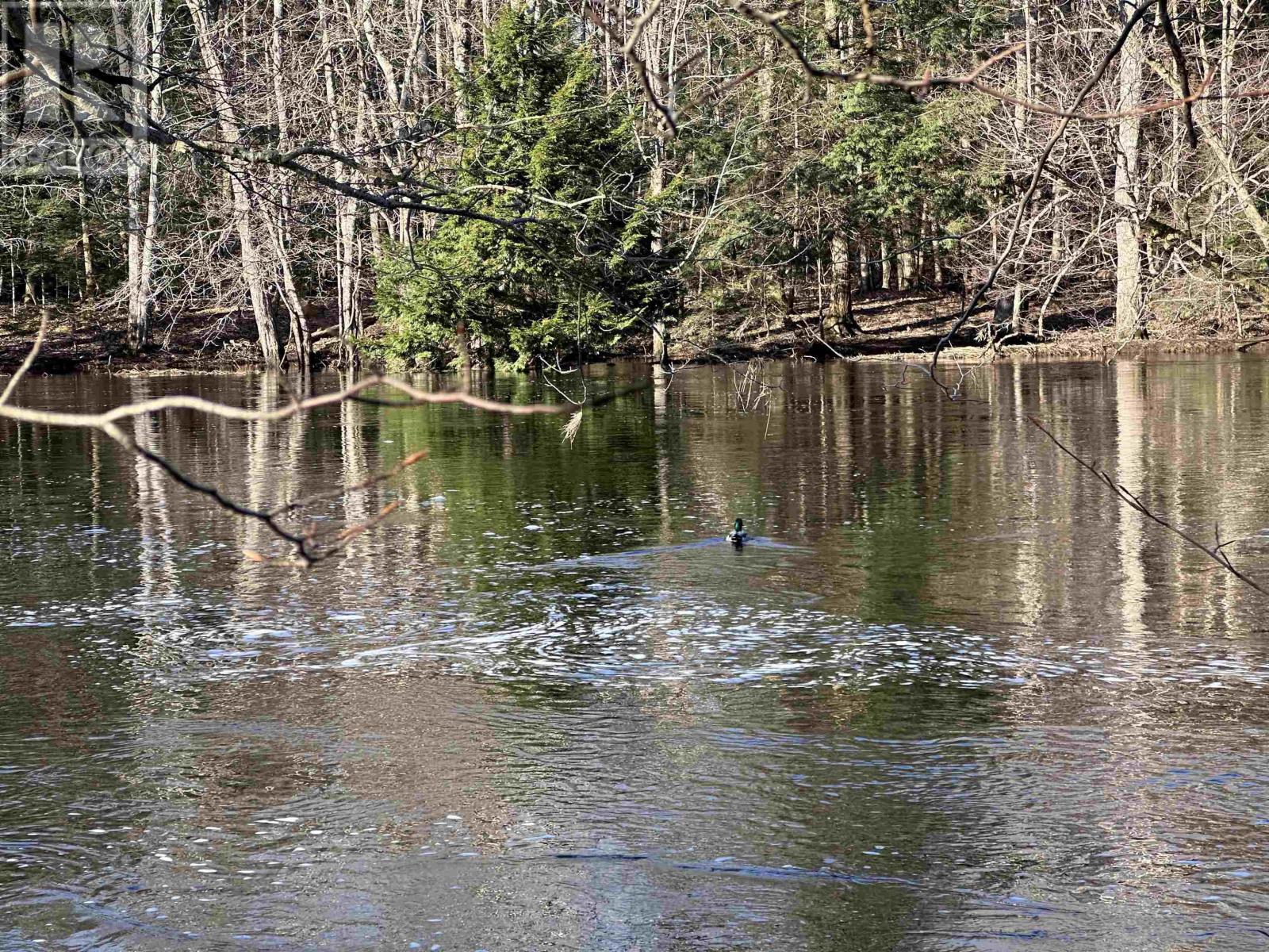 For sale Lot Highway 10, PID60711322, Cookville, Nova Scotia B4V7R3 202405587 REALTOR.ca