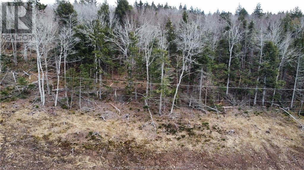 For sale Lot 2156 Orchard AVE, Irishtown, New Brunswick E1H0J5