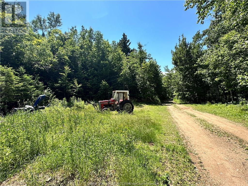 For sale 160 Prosser Brook, Prosser Brook, New Brunswick E1H1C9