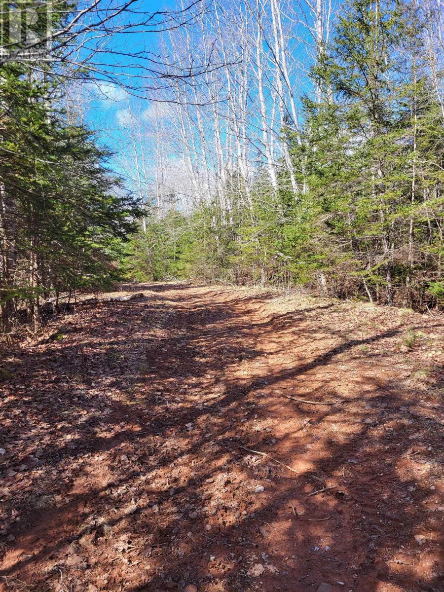 Lot Patricia Avenue, Onslow Mountain, Nova Scotia B2L6R9 REALTOR.ca