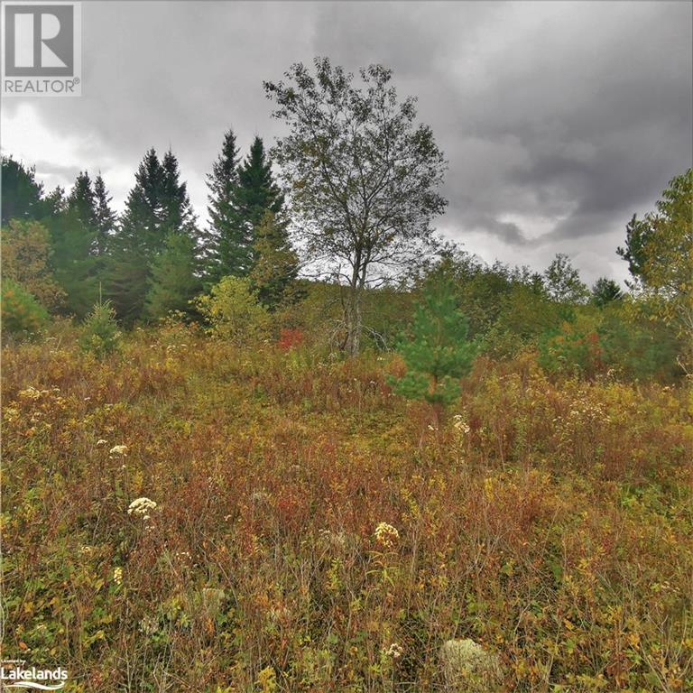 For sale 0 HIGHWAY 141, Utterson, Ontario P0B1M0 40566319 REALTOR.ca