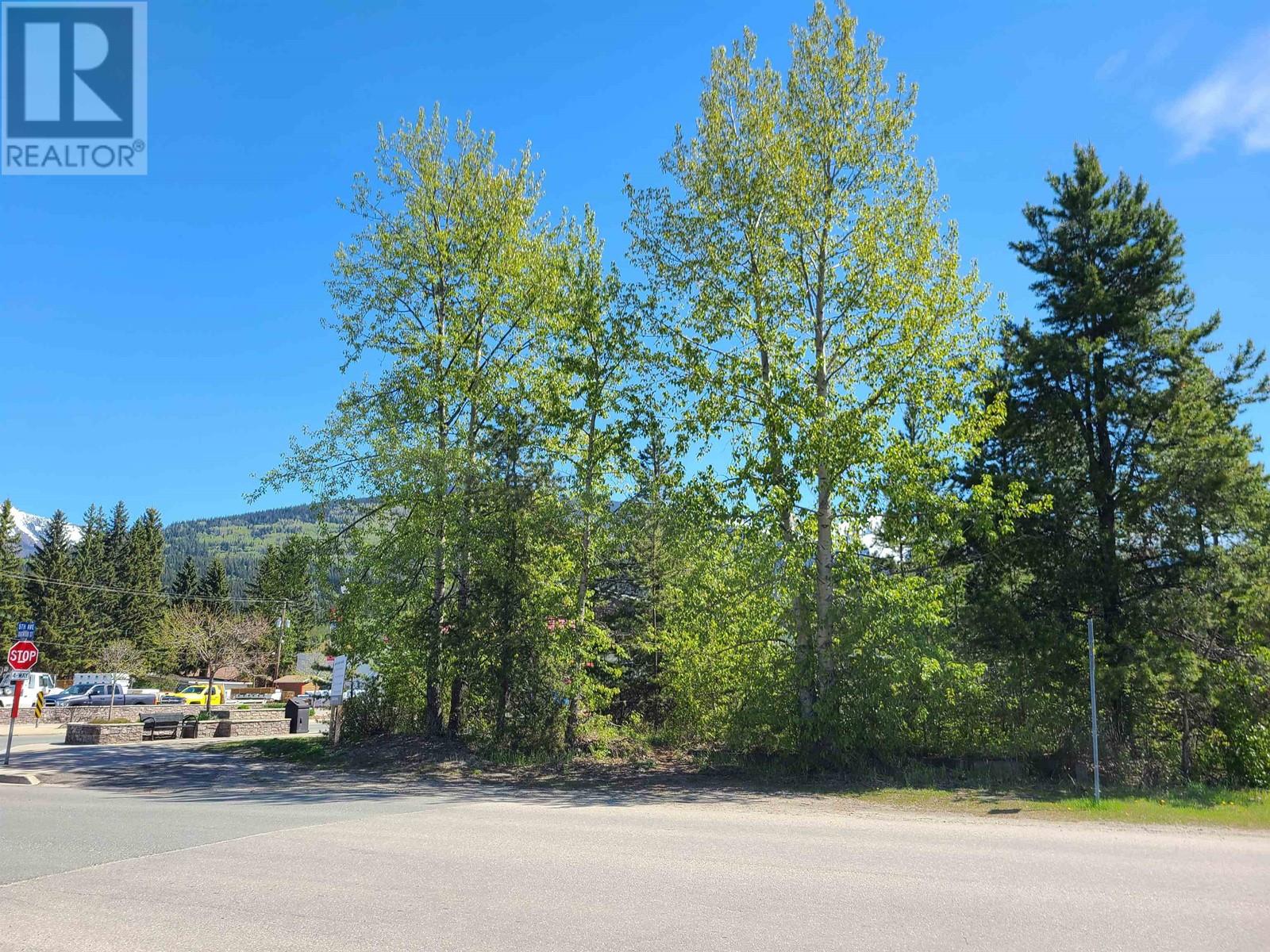 For sale 1285 5TH AVENUE, Valemount, British Columbia V0E2Z0