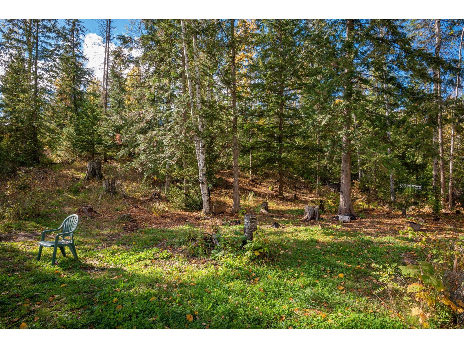 For sale 222 ROSEBUD LAKE ROAD, Nelway, British Columbia V0G1Z0