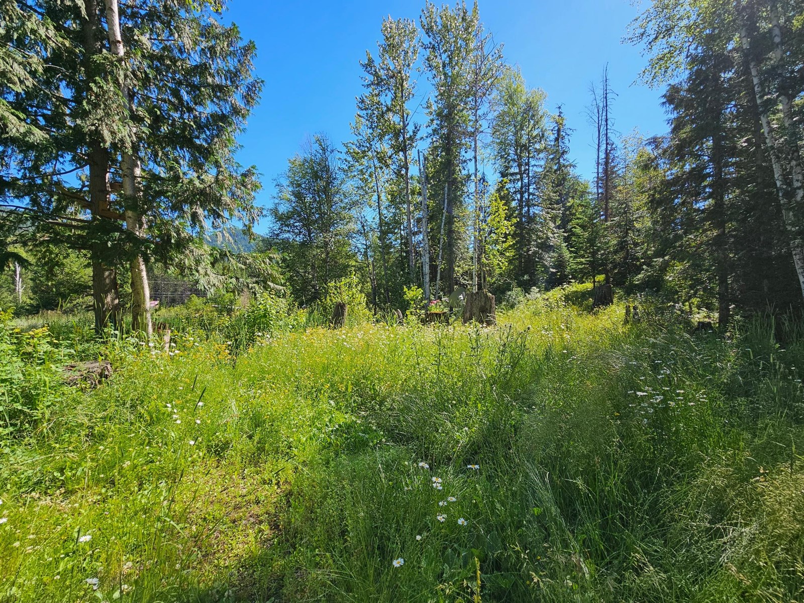 For sale 222 ROSEBUD LAKE ROAD, Nelway, British Columbia V0G1Z0