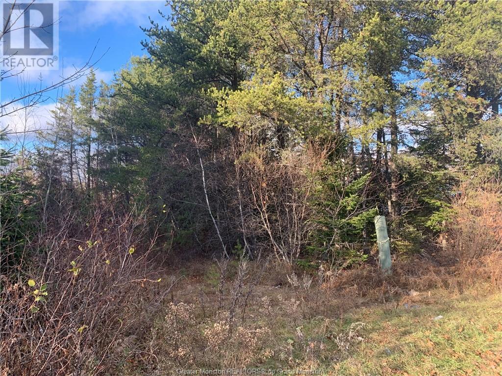 For sale Lot Main ST, Richibucto, New Brunswick E4W4C7 M158369