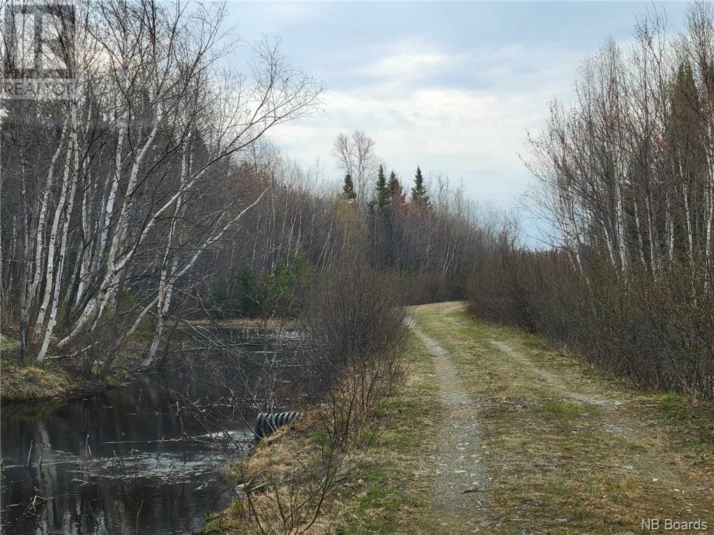 For sale Camp/Lot Bernard Road, South Tetagouche, New Brunswick E2A7H1