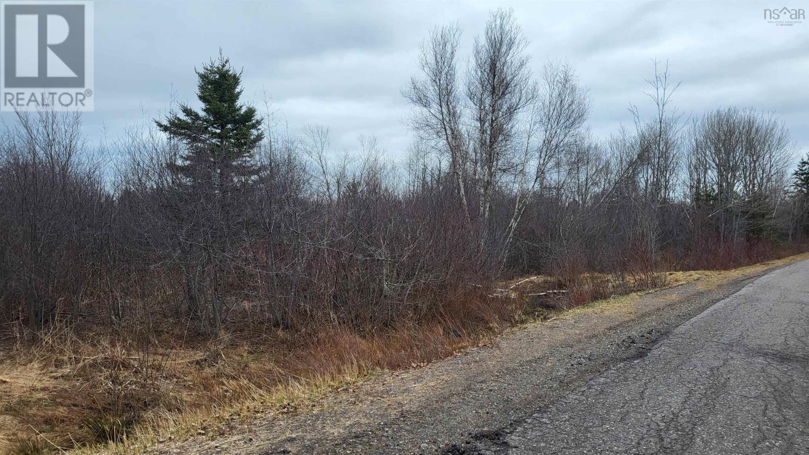 For sale: 19.5 acres Old Pictou Road, Hodson, Nova Scotia B0K1N0 ...