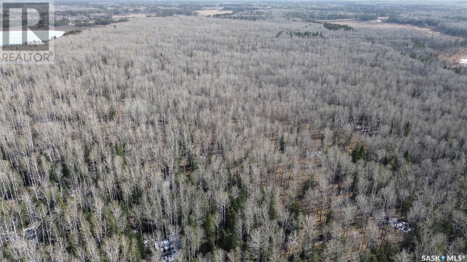 For sale Candle Lake Land, Candle Lake, Saskatchewan S0J3E0 SK965190 REALTOR.ca