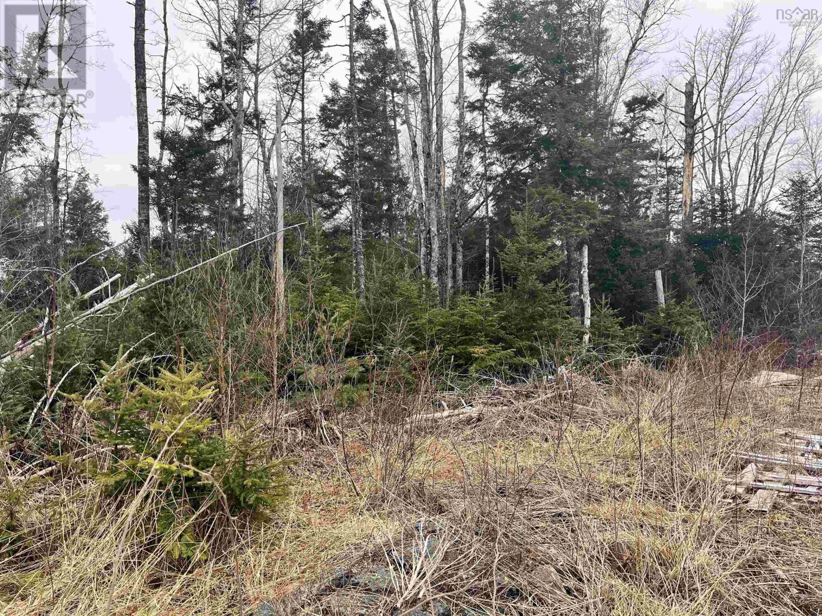 For sale 72 Keddy Road, Cooks Brook, Nova Scotia B0N1X0 202405410