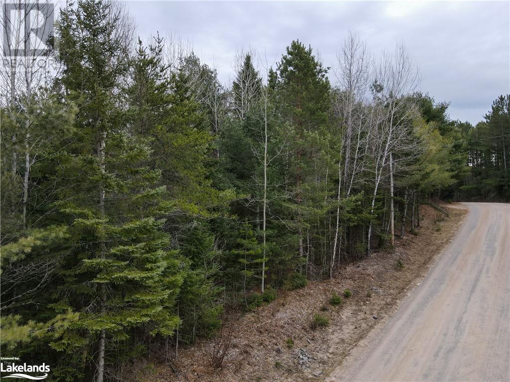 For sale 0 OLD MUSKOKA Road Unit Lot 2, Emsdale, Ontario P0A1J0