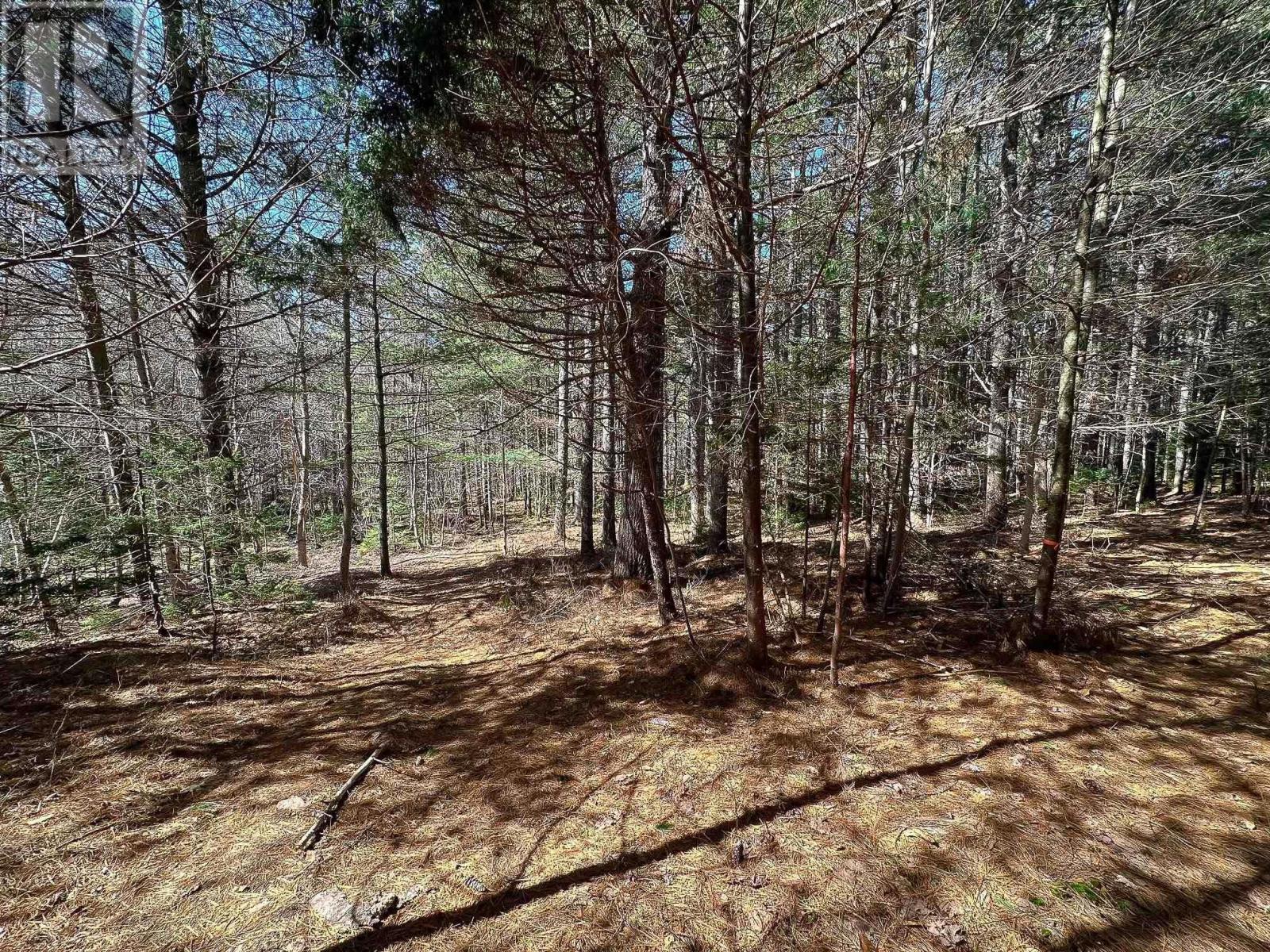 59 Wentzell Road, Baker Settlement, Nova Scotia B4V7J5 REALTOR.ca