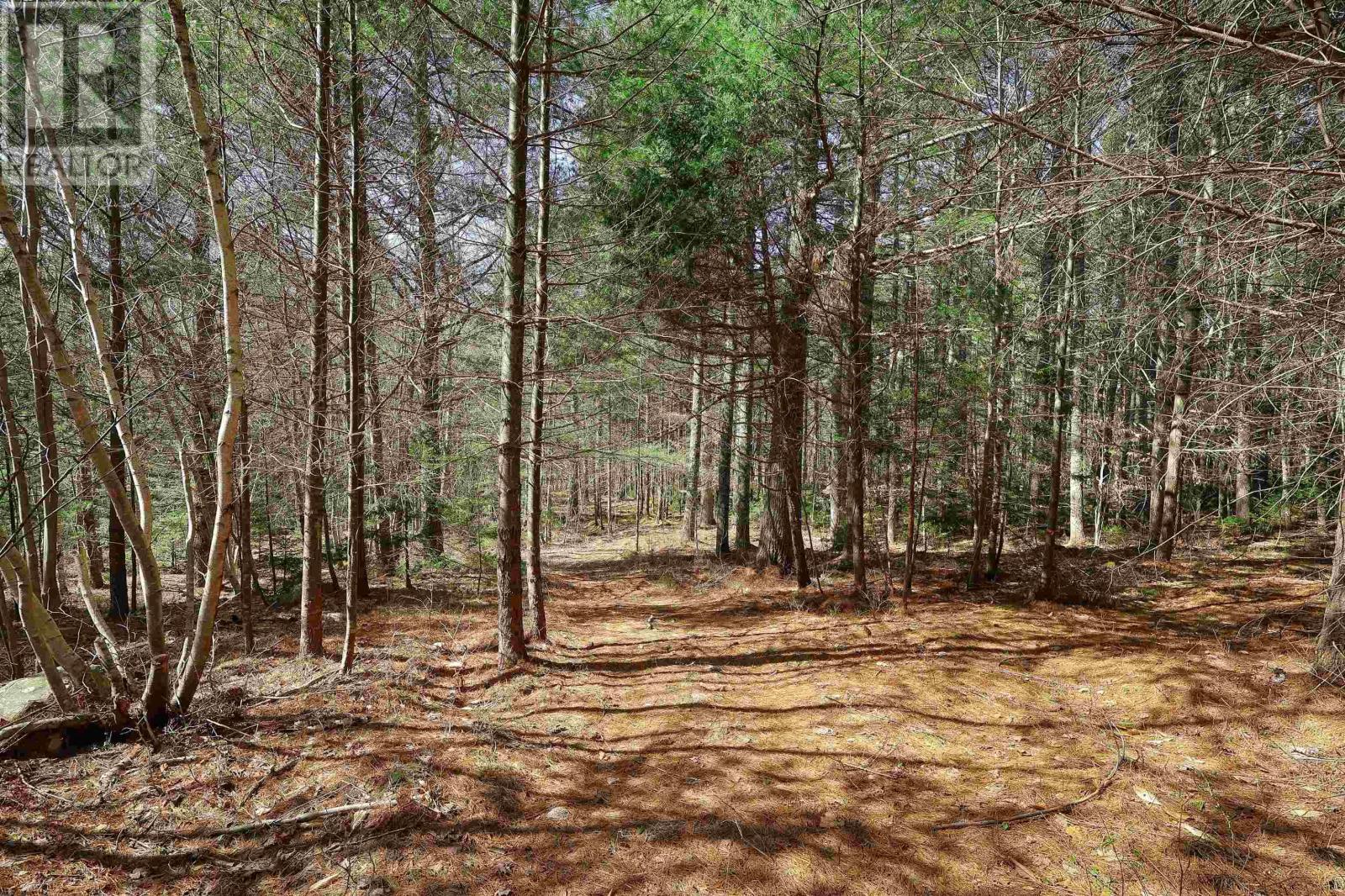 59 Wentzell Road, Baker Settlement, Nova Scotia B4V7J5 REALTOR.ca