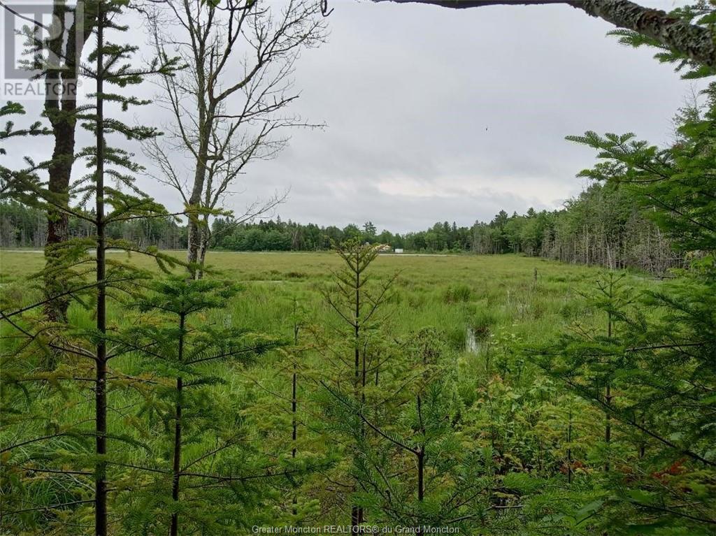 For sale Lot 10 Richibuto RD, Noonan, New Brunswick E4A7H4 M158340 REALTOR.ca