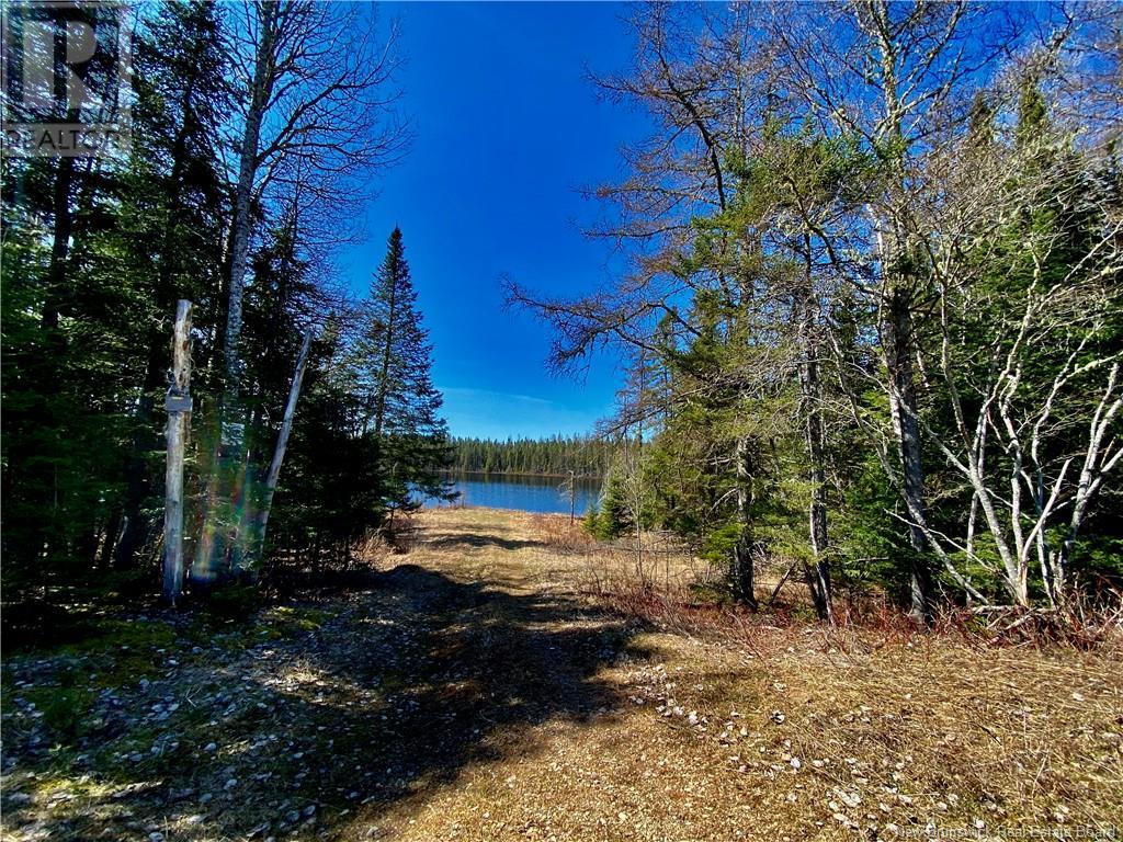 For sale 0 Goodine Cross Road, Sisson Ridge, New Brunswick E7G1S4