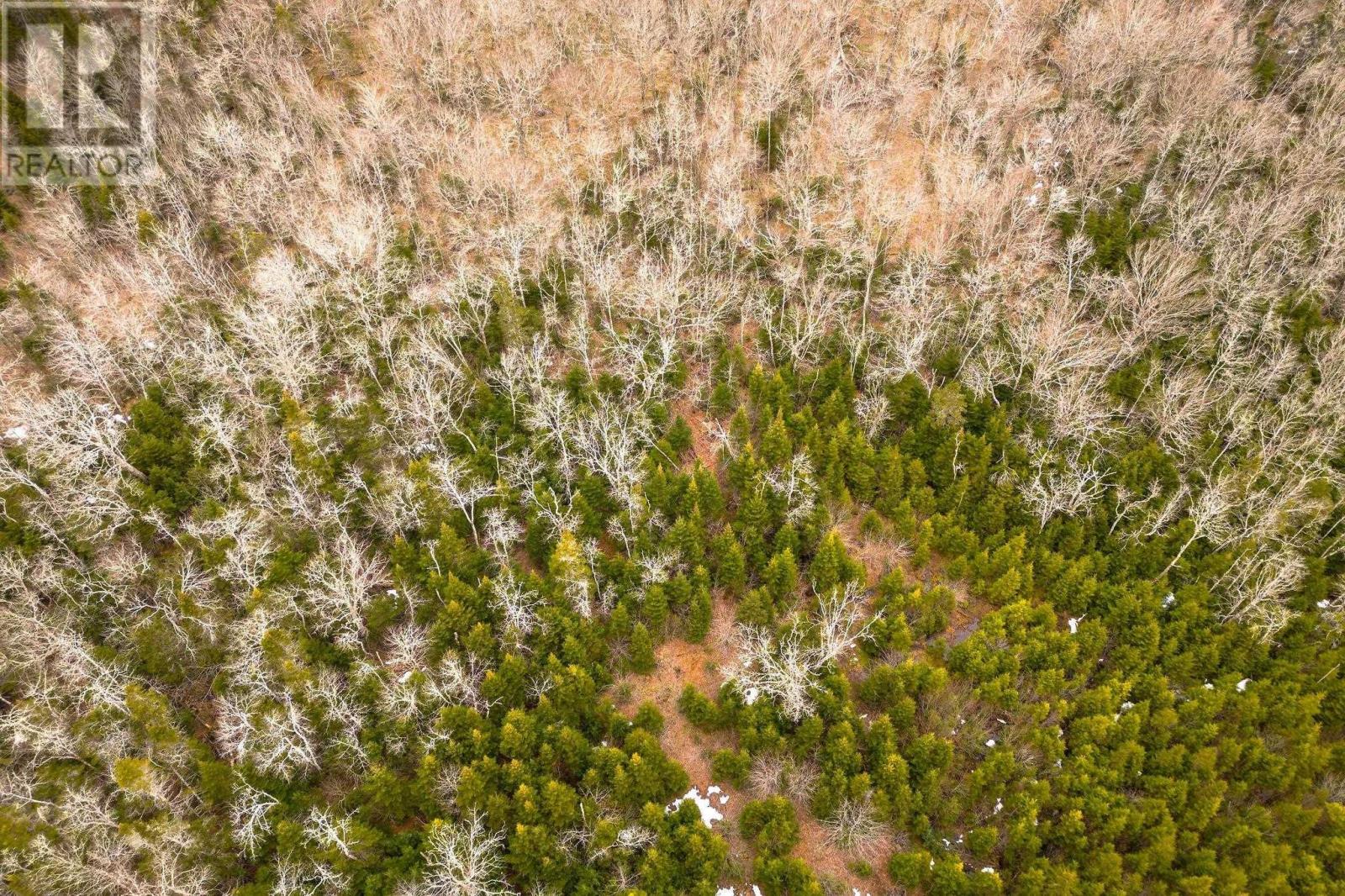 For sale 152 Acres Upper Glencoe Road, Erinville, Nova Scotia B0H1N0