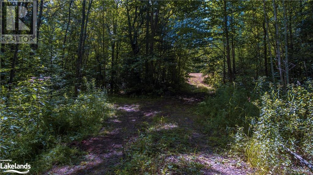 For sale 2368 ESSONVILLE Line, Wilberforce, Ontario K0L3C0 40569327