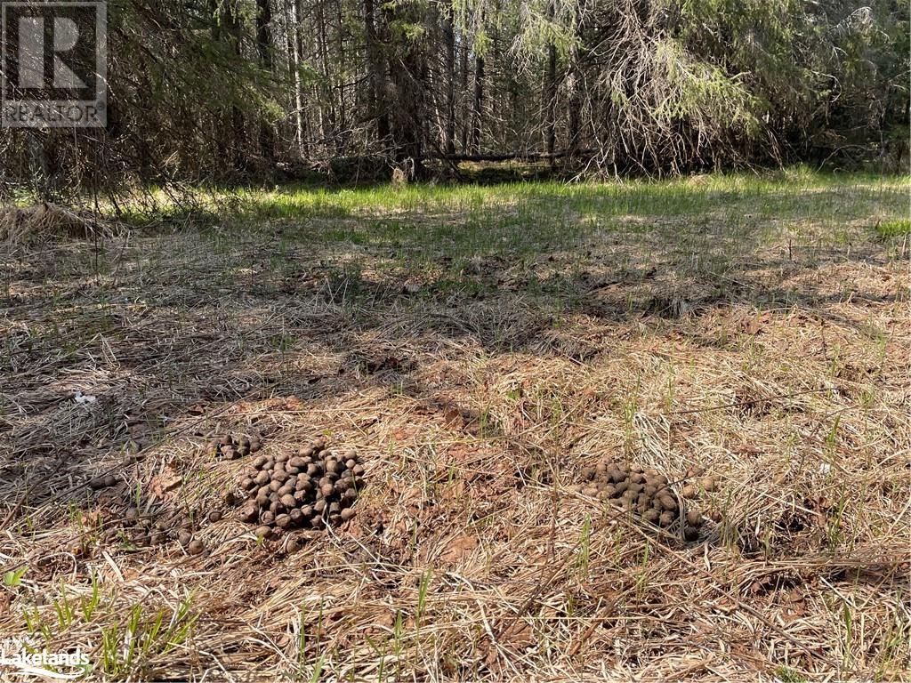 For sale 0 TRUDGEONS Road, Sundridge, Ontario P0A1Z0 40569977