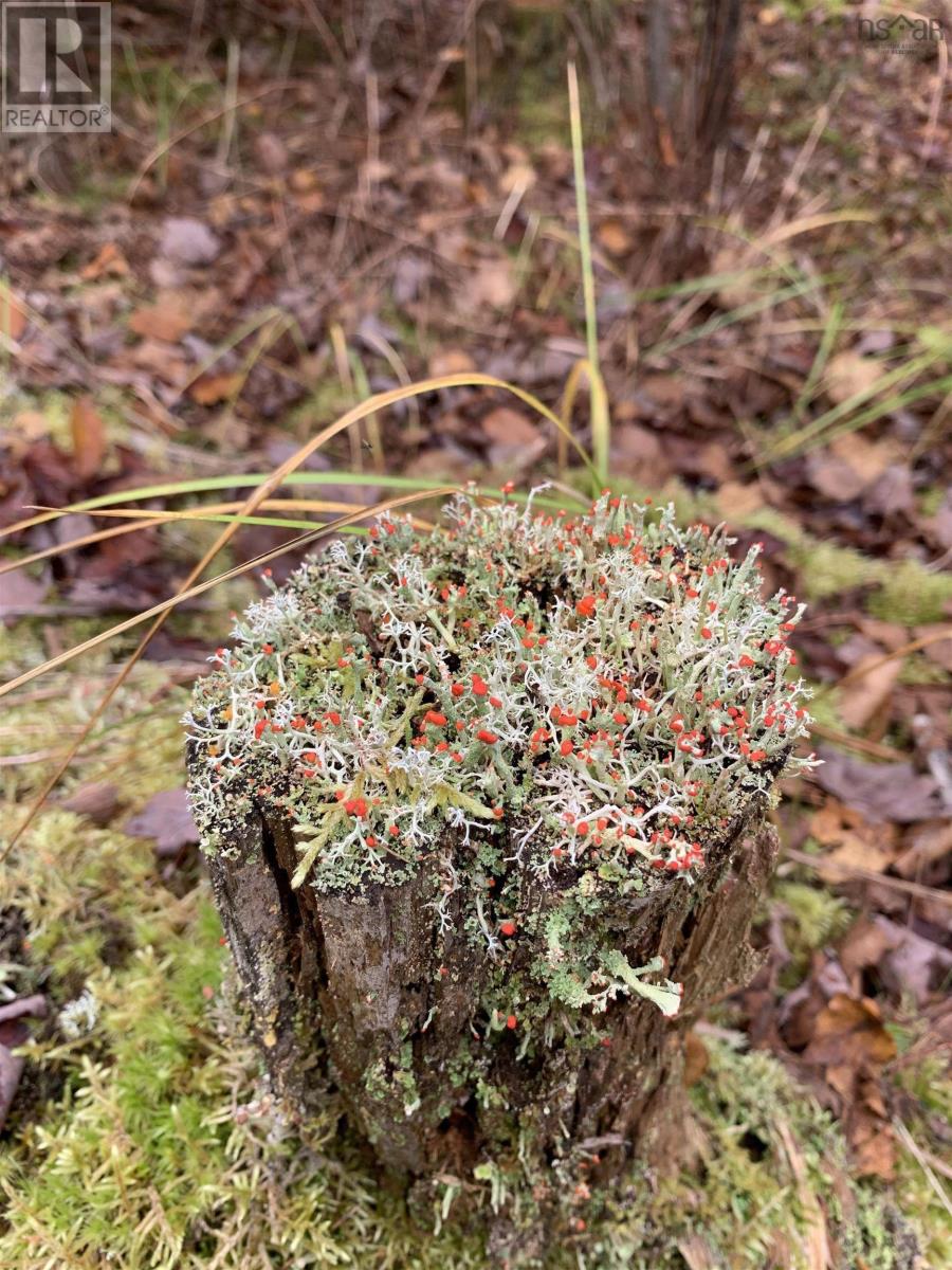 For sale Lot 1 The Grant Preserve, Meaghers Grant, Nova Scotia B0V1V0