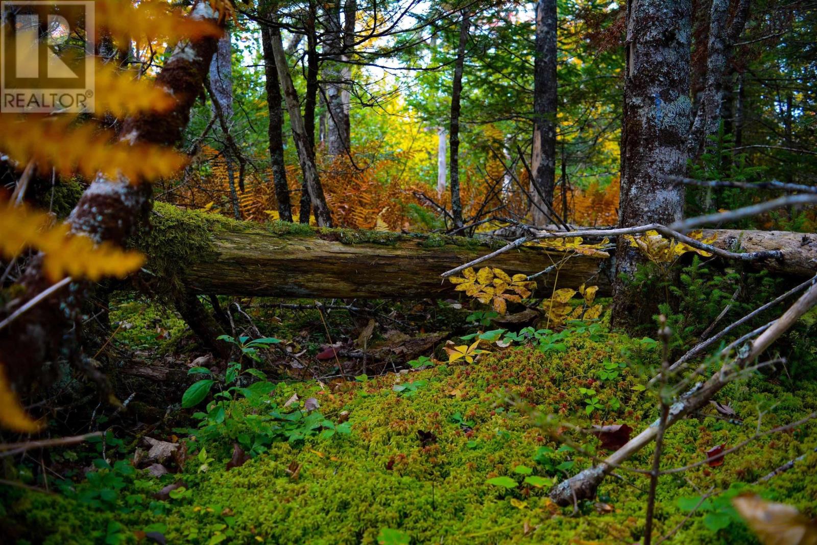 For sale Lot 1 The Grant Preserve, Meaghers Grant, Nova Scotia B0V1V0