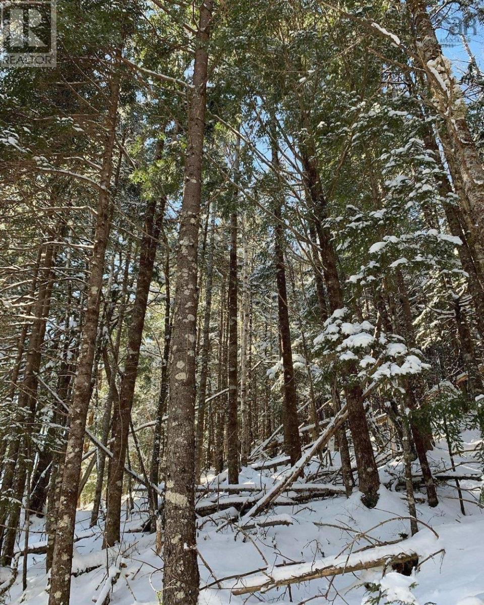 For sale Lot 1 The Grant Preserve, Meaghers Grant, Nova Scotia B0V1V0