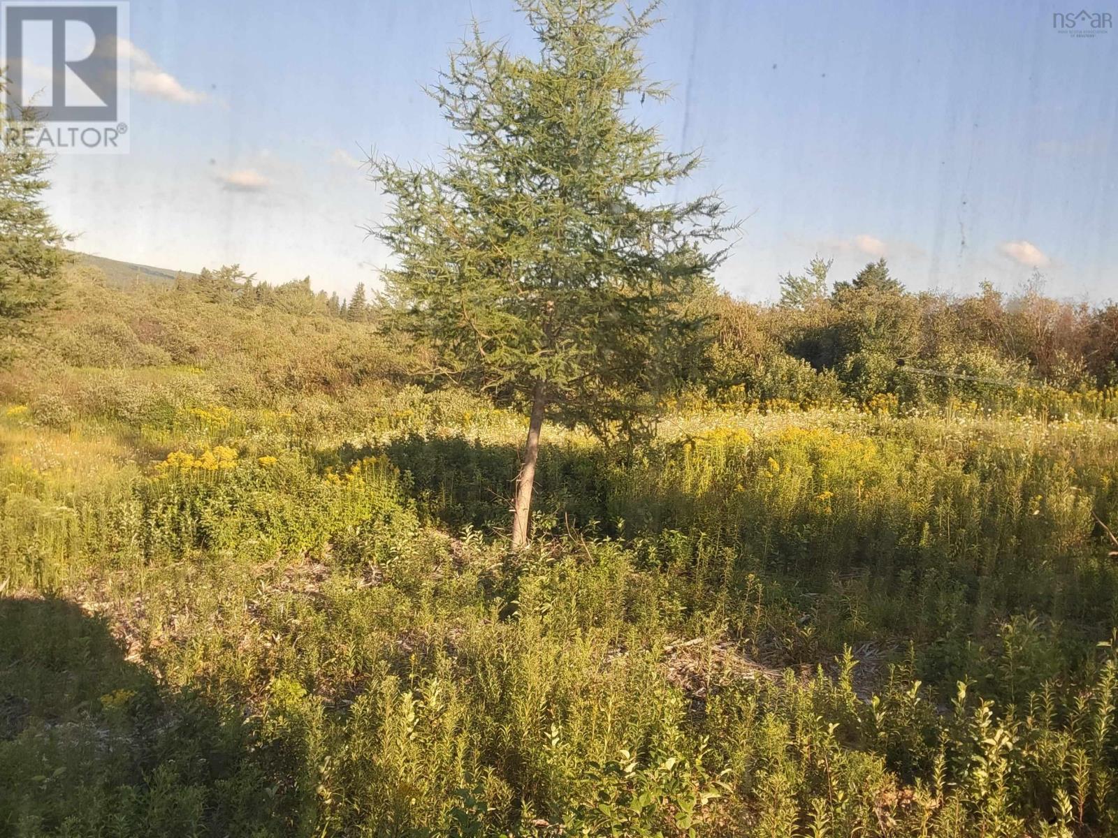 For sale 3 & 4 BARREN Road, River Denys, Nova Scotia B0E2Y0