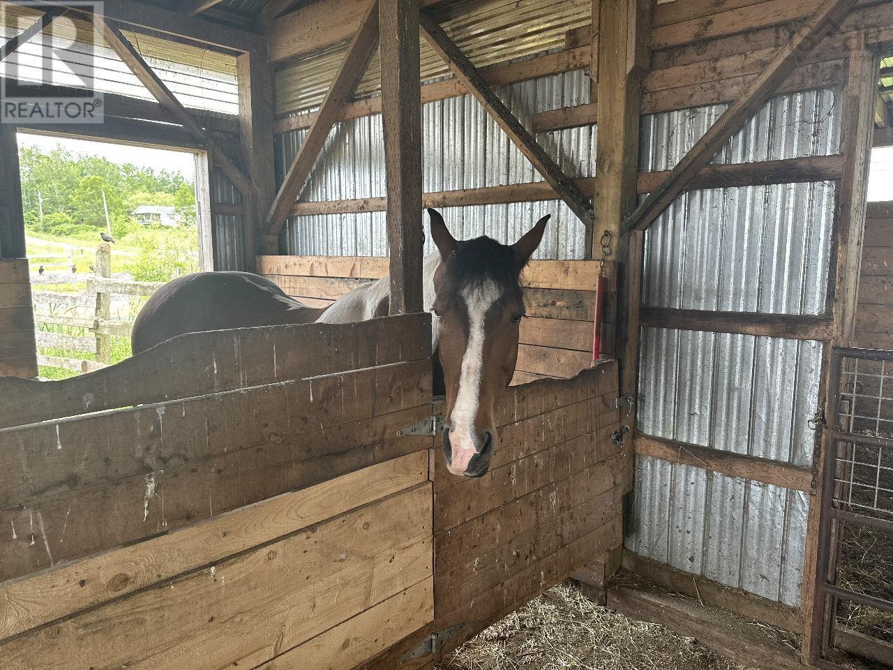 For sale 119 William McCulloch Road, Upper Nova Scotia