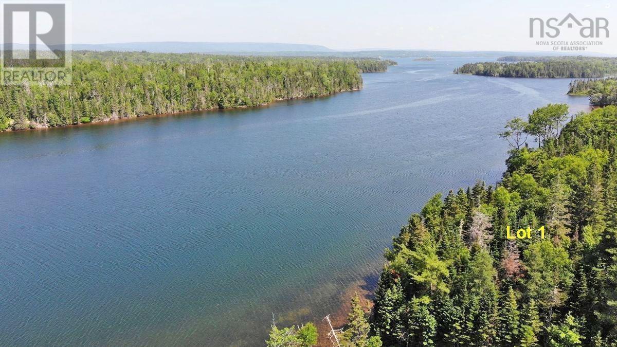 For sale 4.8 Acres Washabuck Road, Upper Washabuck, Nova Scotia B2C1L7