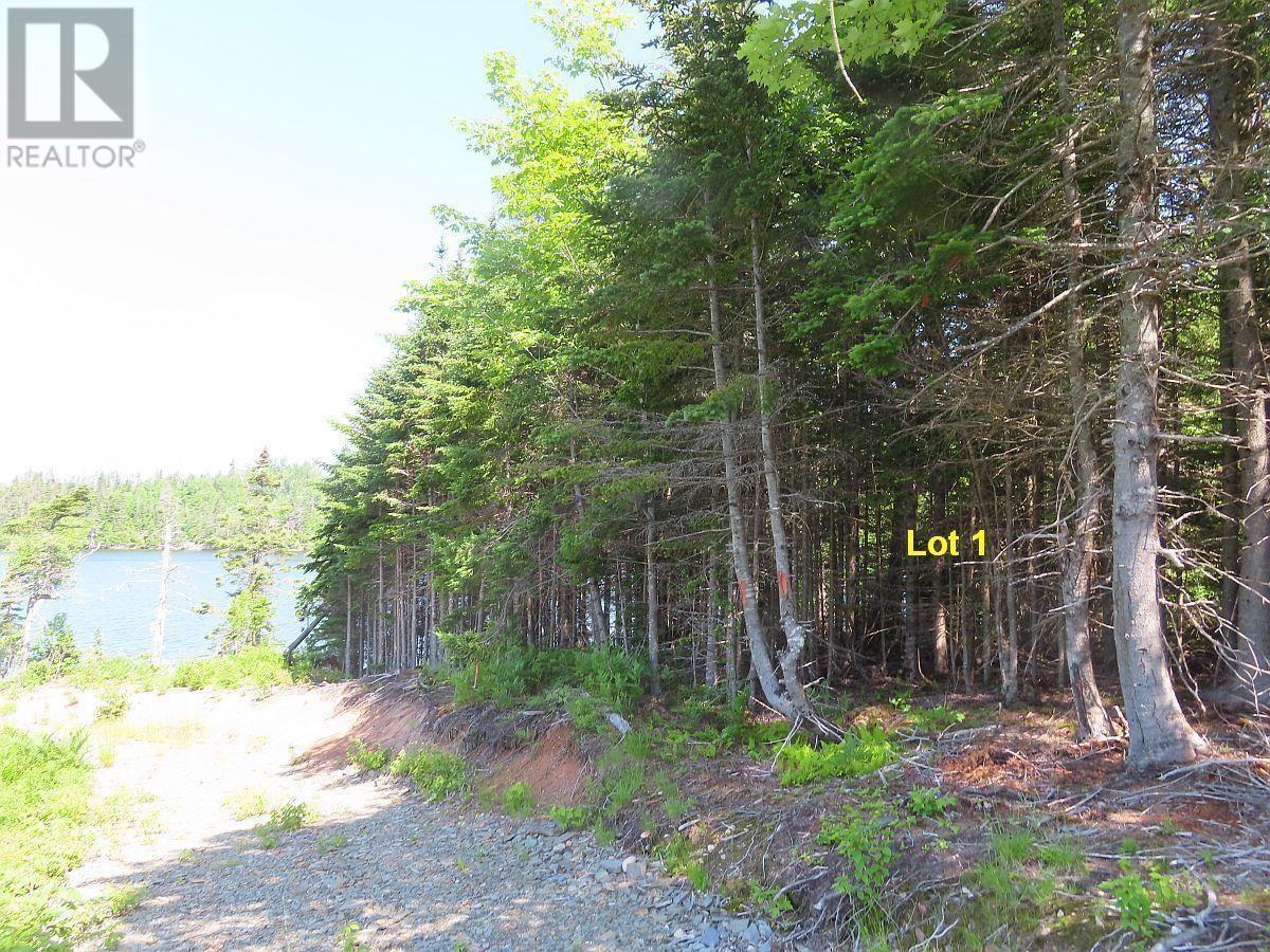 For sale 4.8 Acres Washabuck Road, Upper Washabuck, Nova Scotia B2C1L7