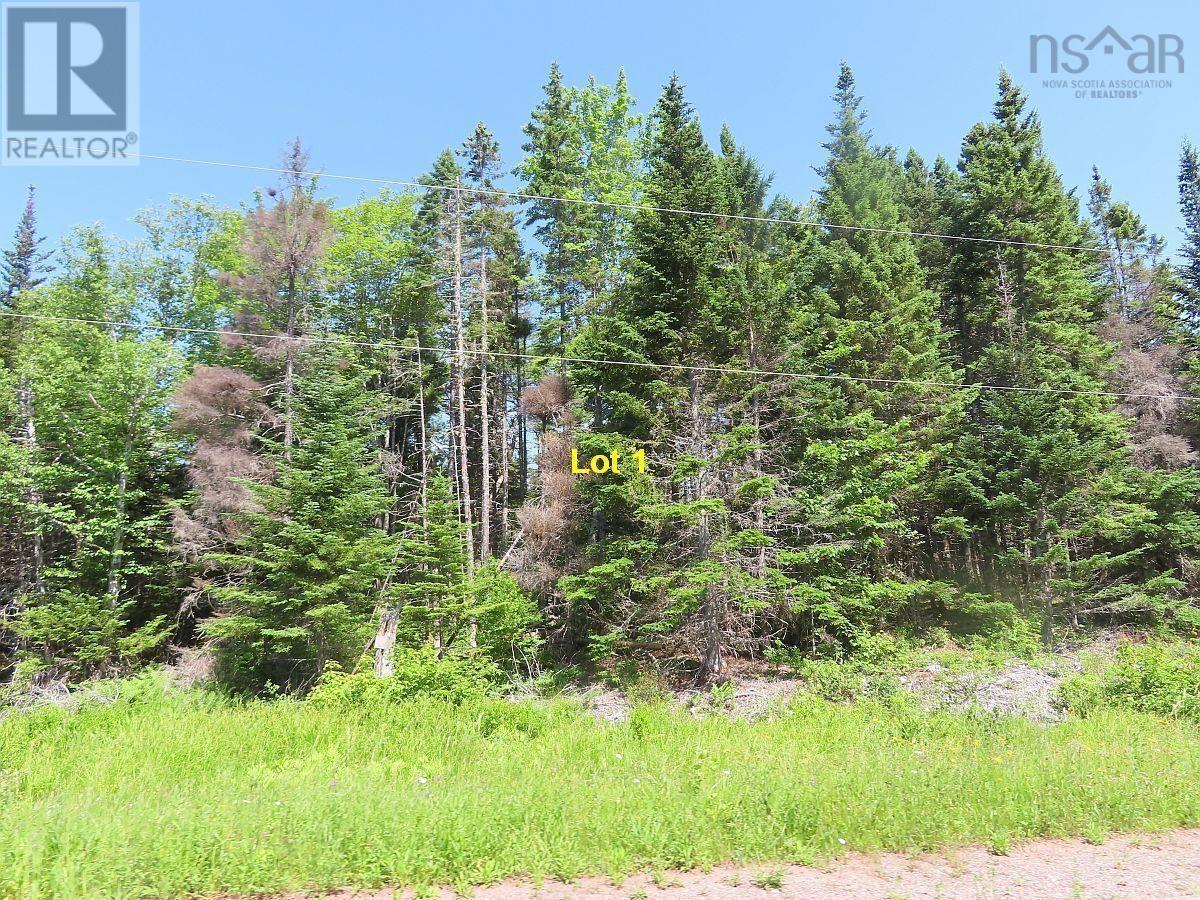 For sale 4.8 Acres Washabuck Road, Upper Washabuck, Nova Scotia B2C1L7