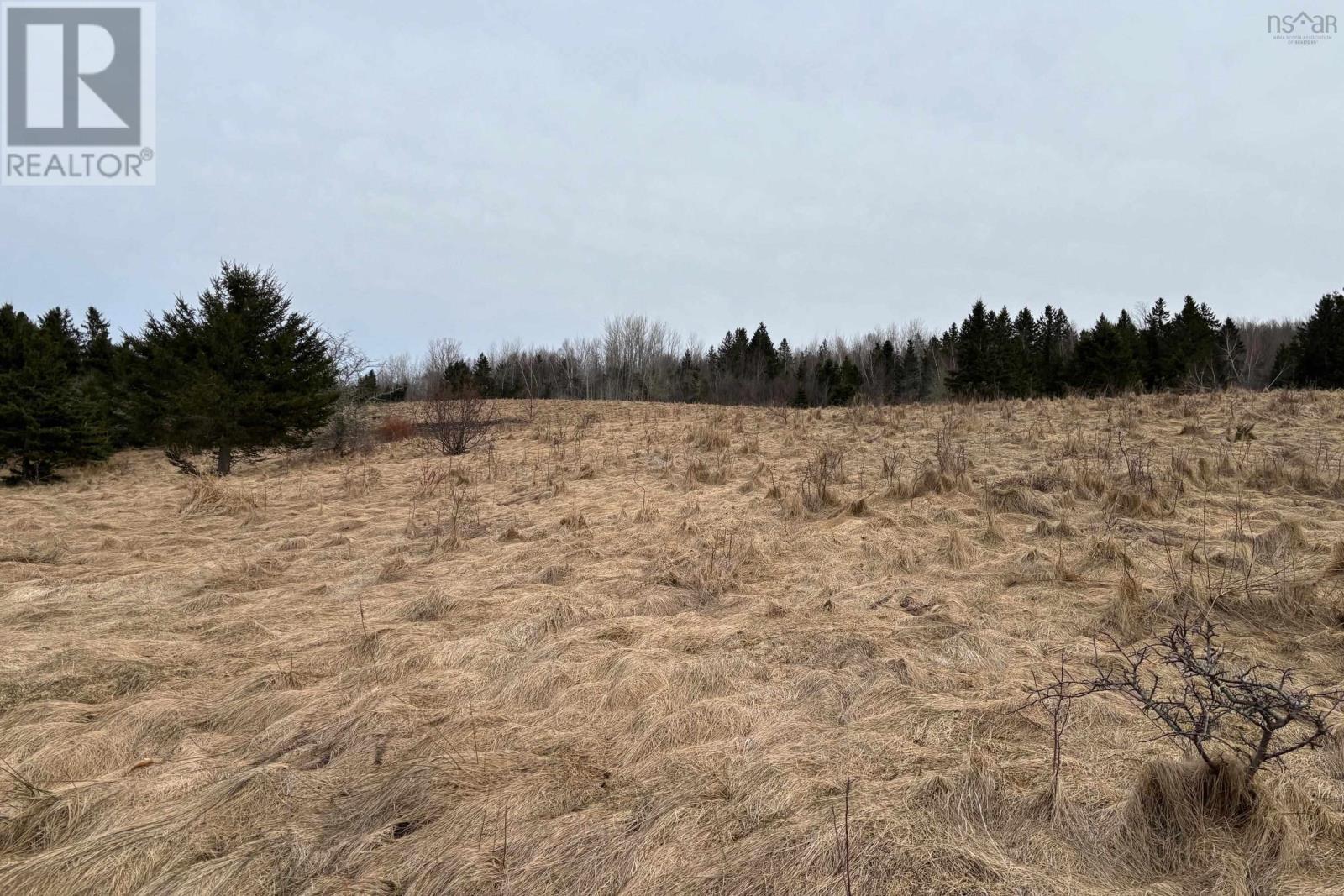 Lot 1 Williamsdale Road, Collingwood, Nova Scotia B0M1E0 REALTOR.ca