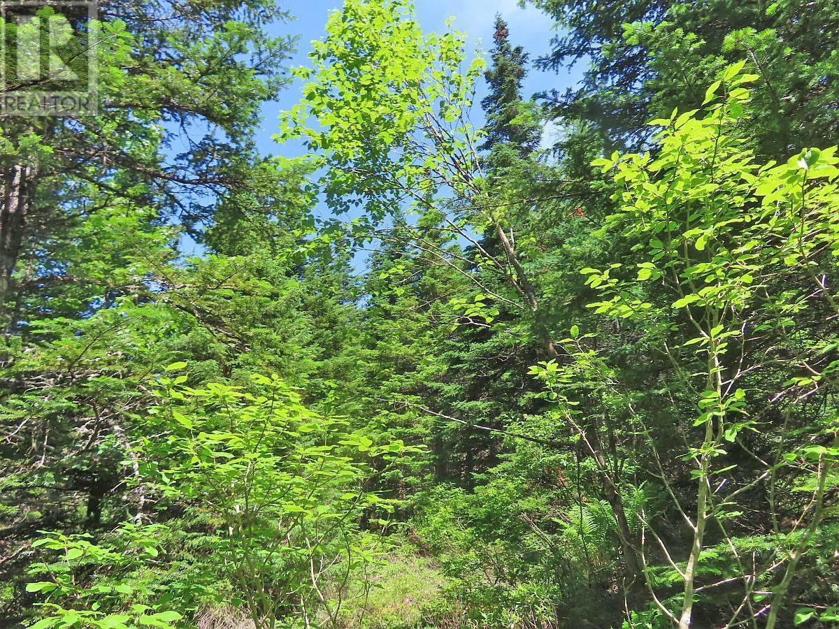 For sale 100 Acres Upper Grand Mira Road, Upper Grand Mira, Nova