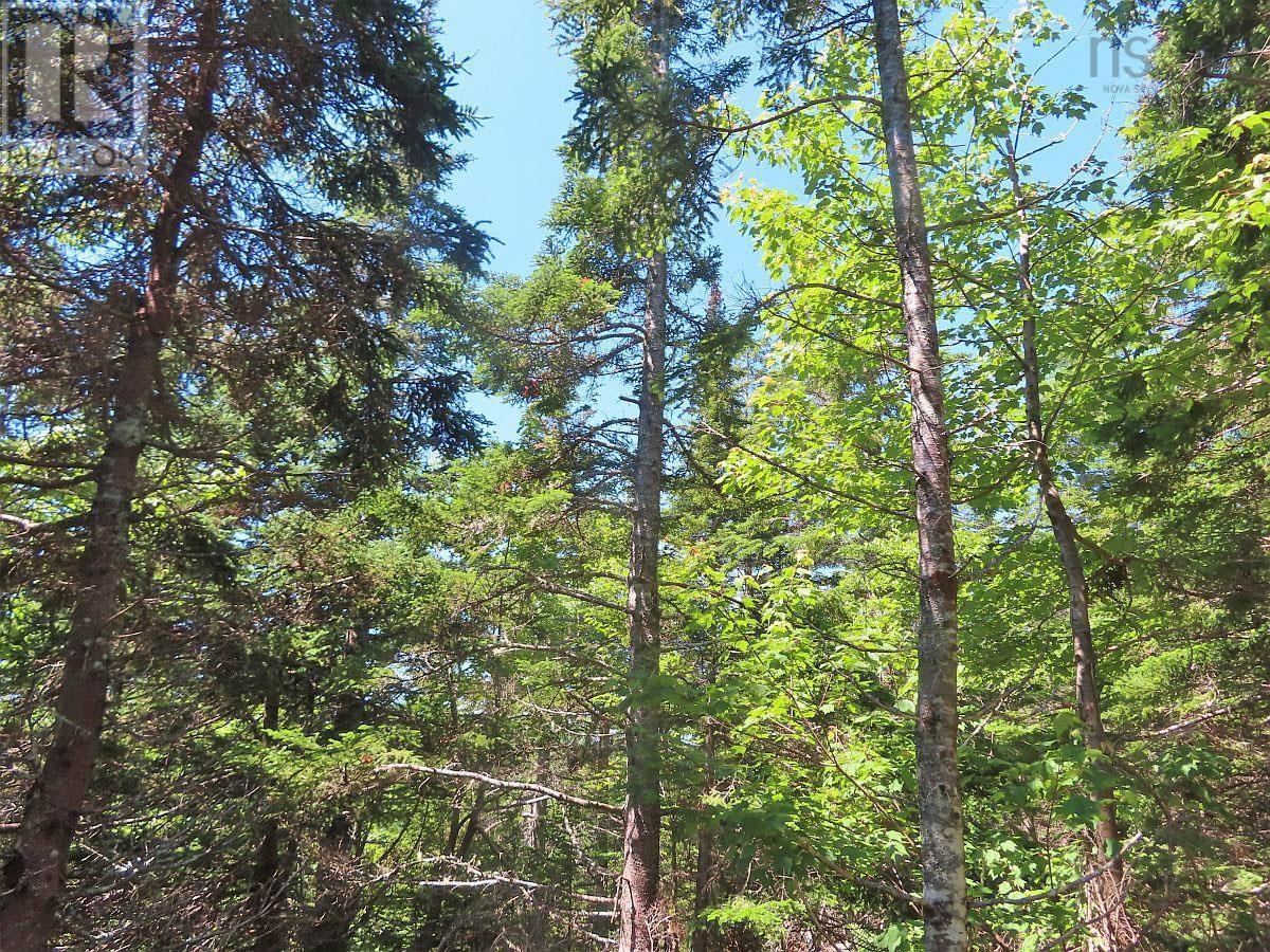 For sale 100 Acres Upper Grand Mira Road, Upper Grand Mira, Nova