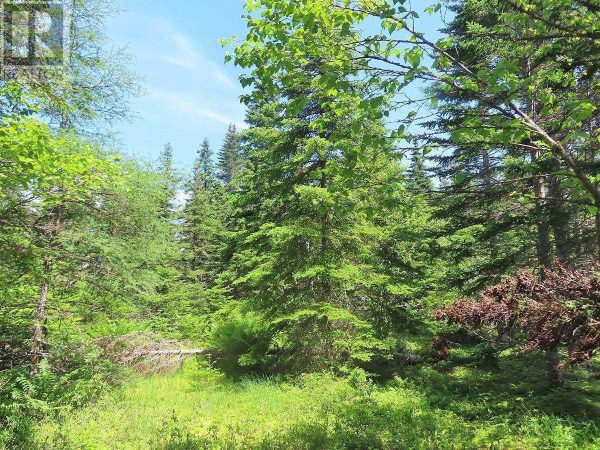 For sale 100 Acres Upper Grand Mira Road, Upper Grand Mira, Nova