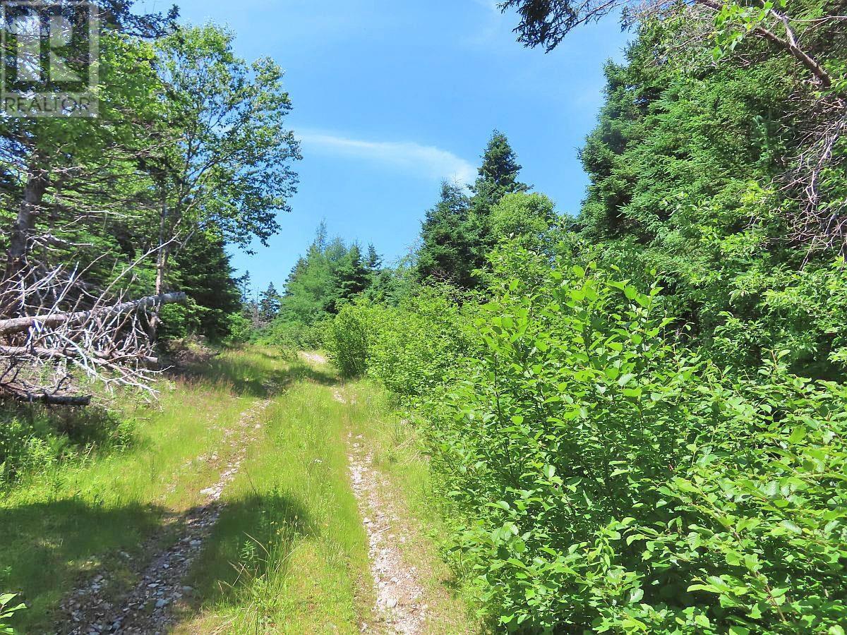 For sale 100 Acres Upper Grand Mira Road, Upper Grand Mira, Nova