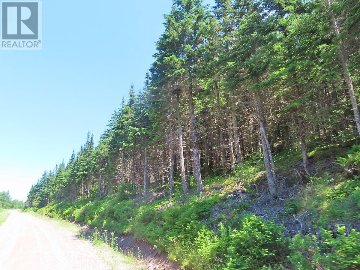 For sale 100 Acres Upper Grand Mira Road, Upper Grand Mira, Nova