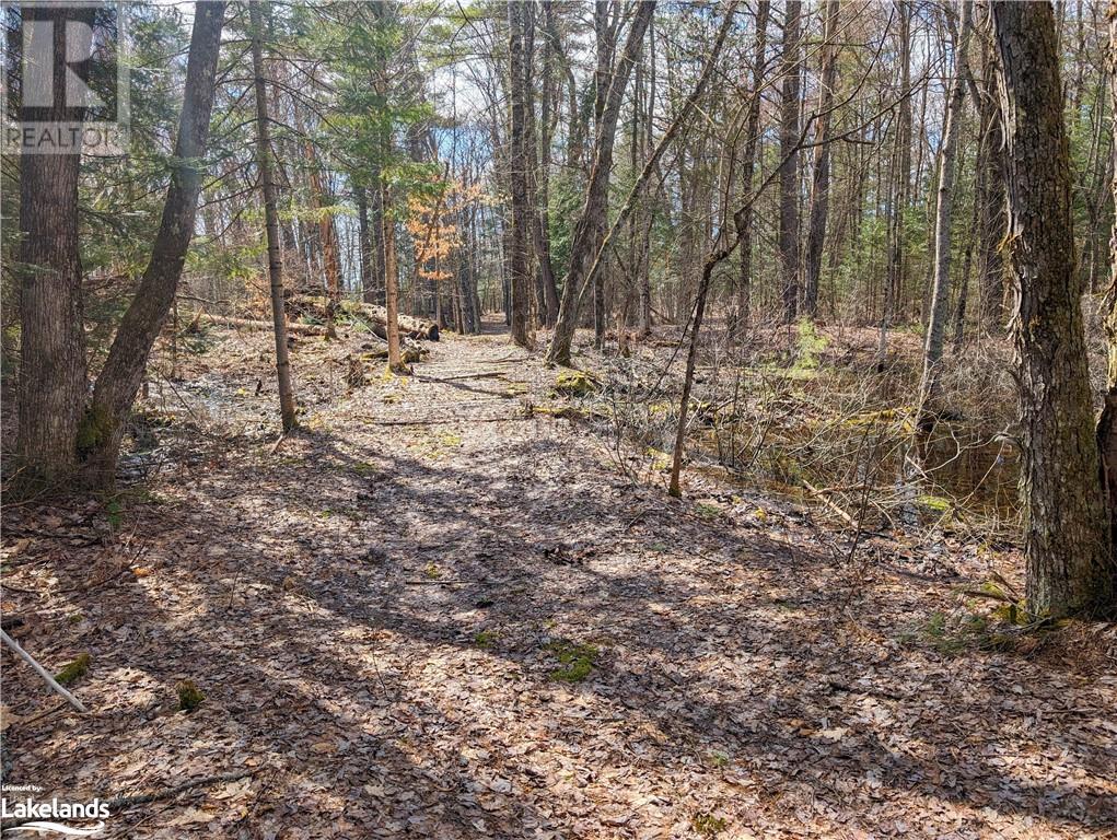 For sale 0 RAINEY Road, Bracebridge, Ontario P1L1X1 40571296