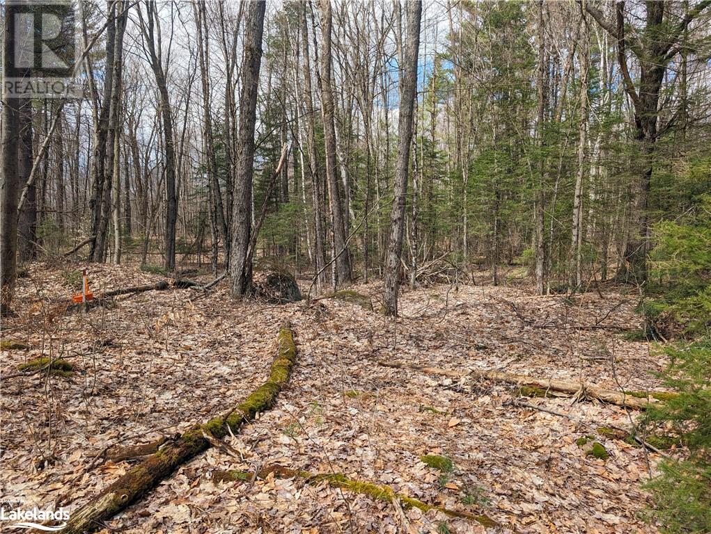 For sale 0 RAINEY Road, Bracebridge, Ontario P1L1X1 40571296