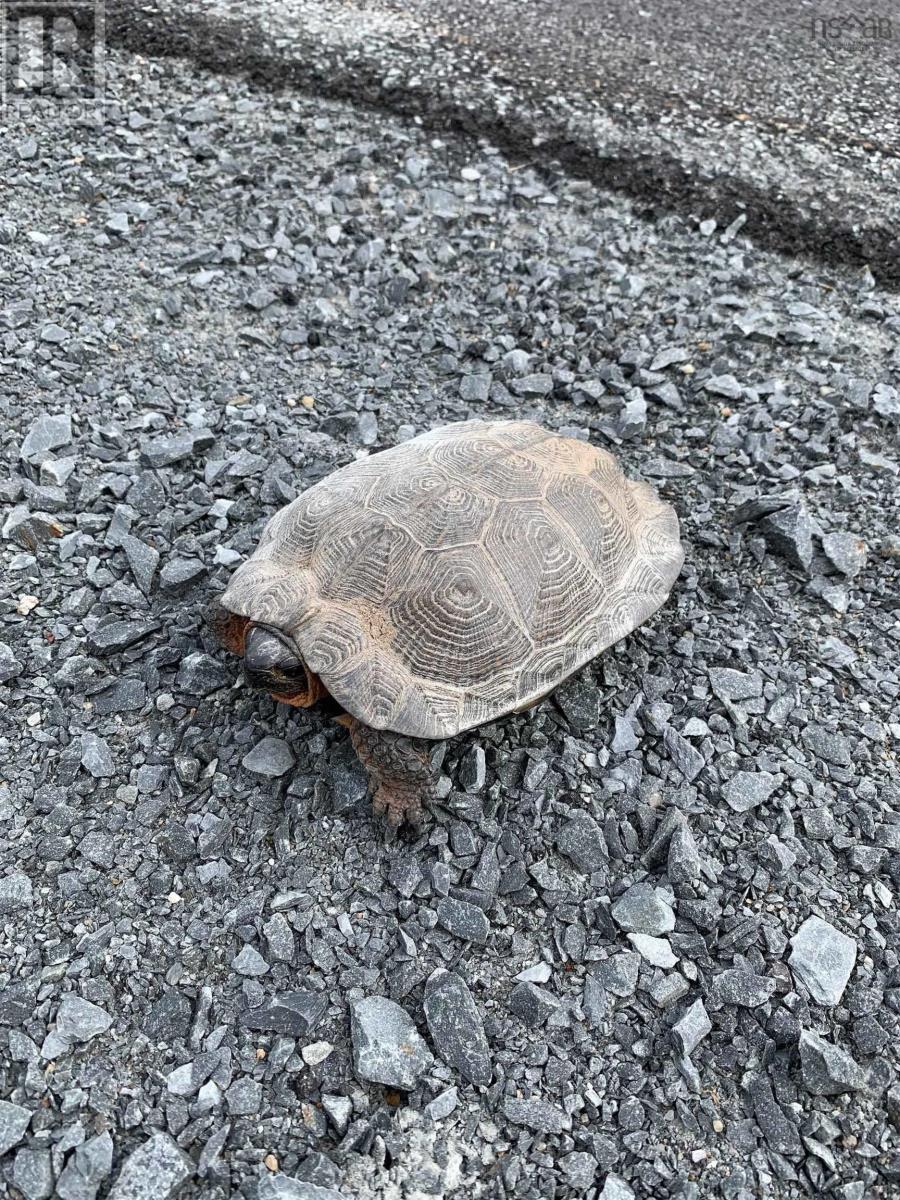 For sale Lot 1 The Grant Preserve, Meaghers Grant, Nova Scotia B0V1V0