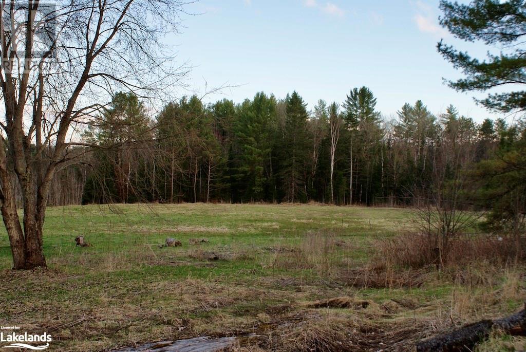 For sale 4177 COUNTY ROAD 121, Kinmount, Ontario K0M2A0 40575262