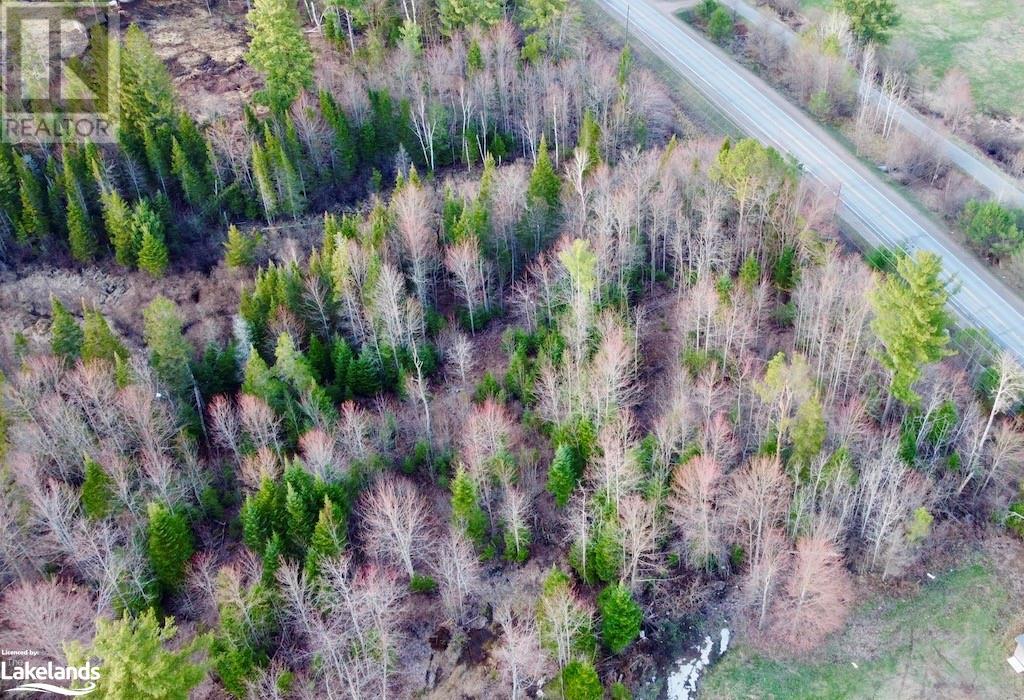 For sale 4177 COUNTY ROAD 121, Kinmount, Ontario K0M2A0 40575262 REALTOR.ca