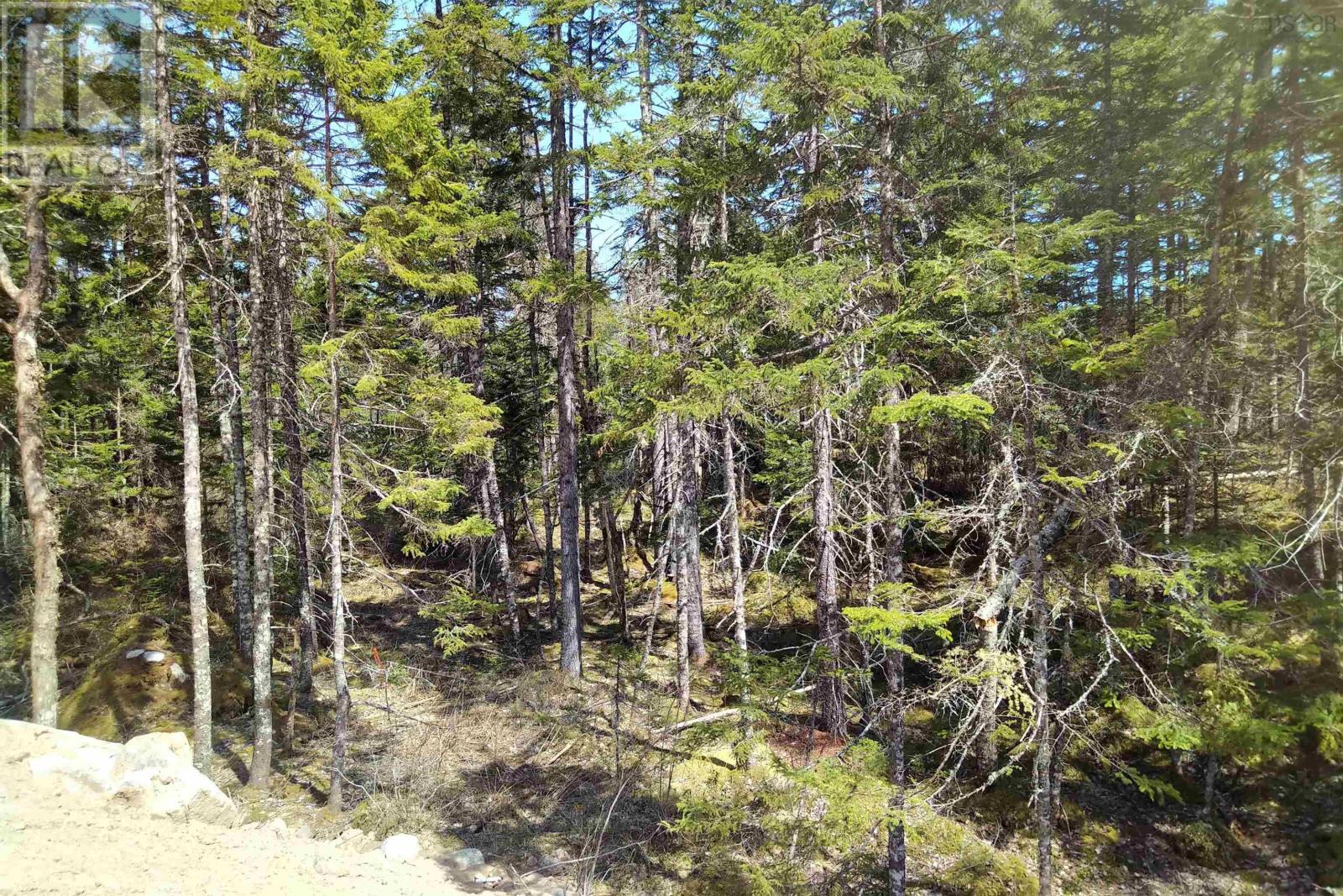 For sale 78 Aralia Lane, Westwood Hills, Nova Scotia B3Z0A8