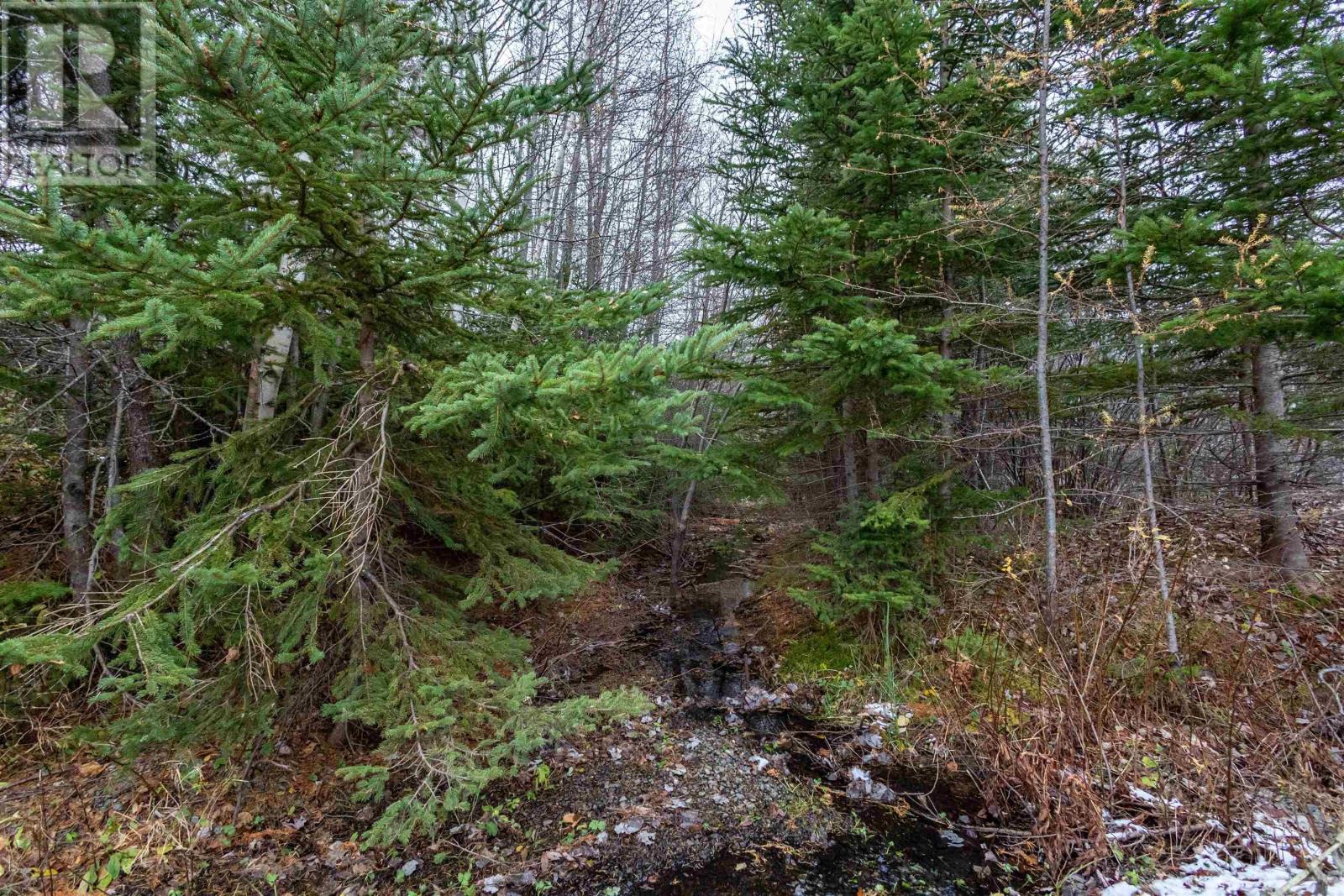 0 Merriwold Lane, Caribou Marsh, Nova Scotia B1M1C9 REALTOR.ca