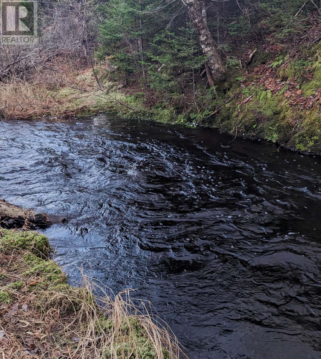 0 Merriwold Lane, Caribou Marsh, Nova Scotia B1M1C9 REALTOR.ca