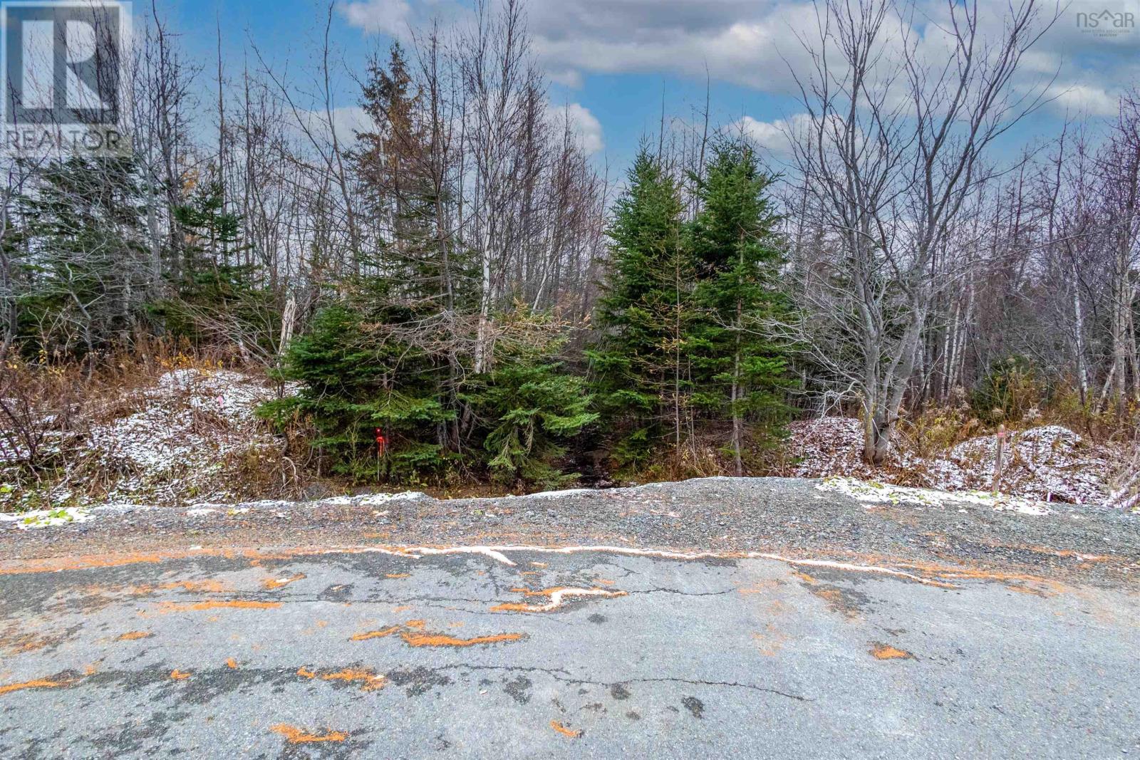 0 Merriwold Lane, Caribou Marsh, Nova Scotia B1M1C9 REALTOR.ca