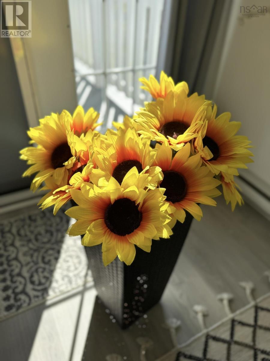 For sale 885 Central Port Mouton Road, South West Port Mouton, Nova