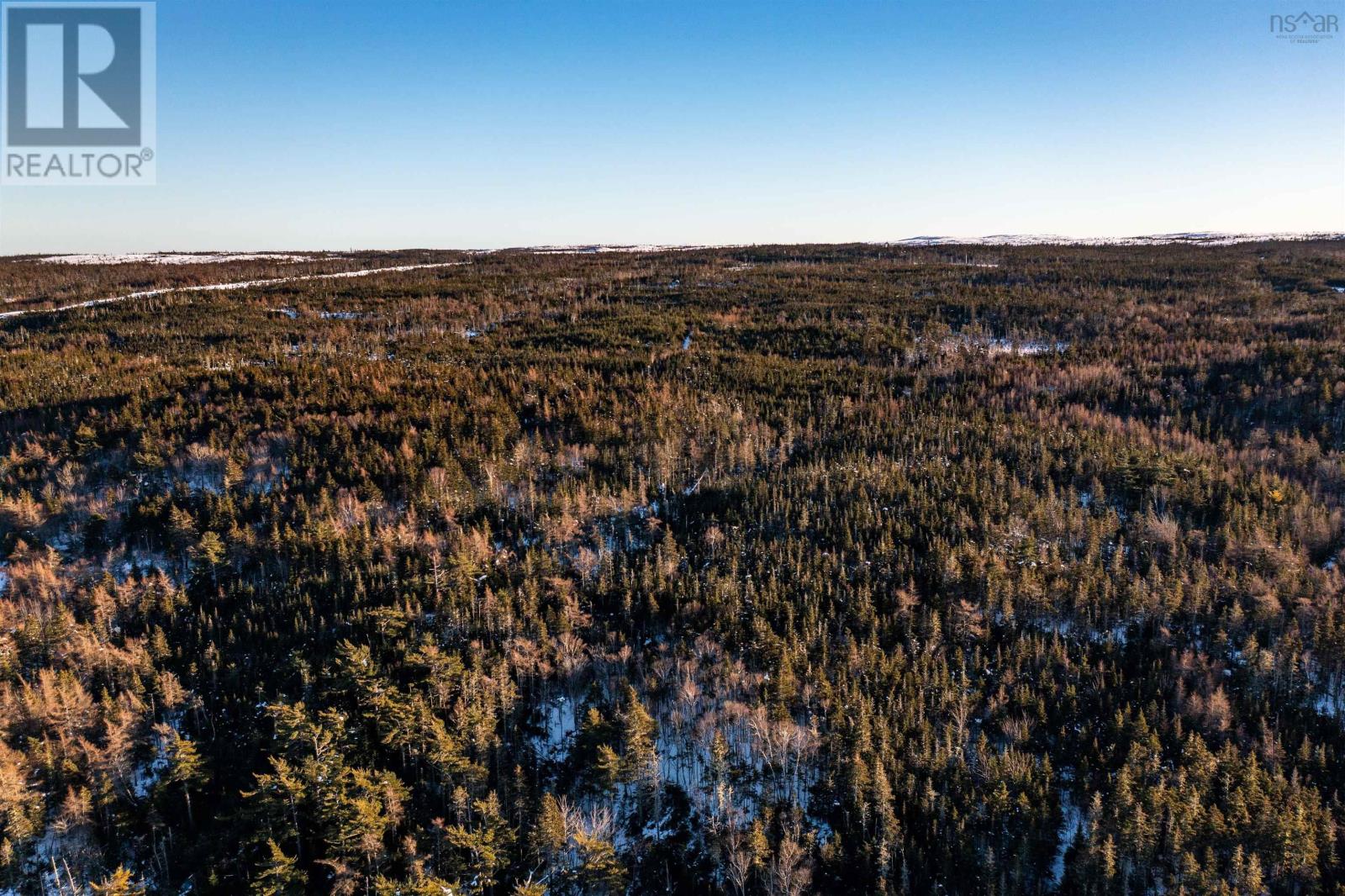 For sale 0 Highway 16, Peas Brook, Nova Scotia B0H1N0 202402308