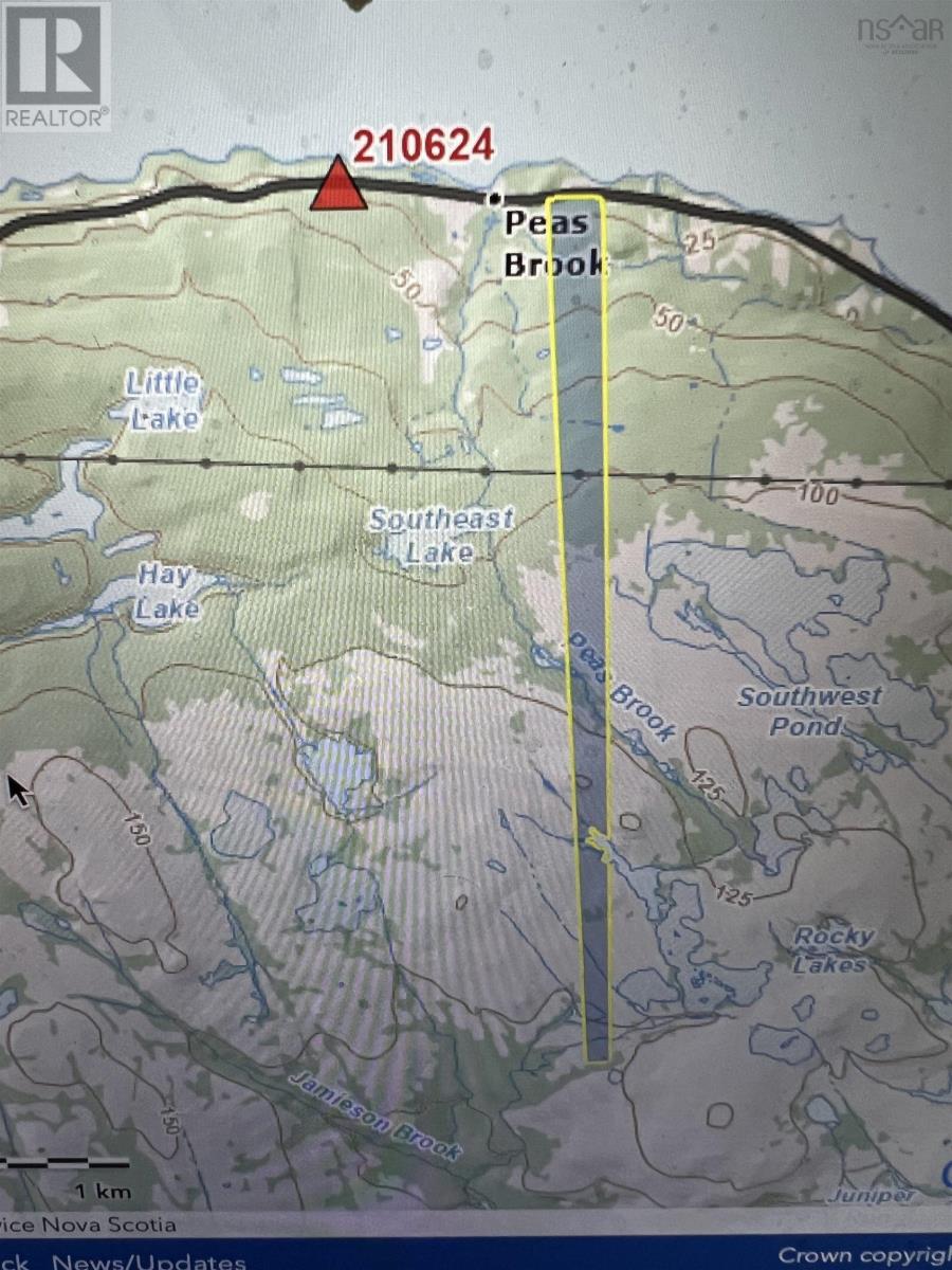 For sale 0 Highway 16, Peas Brook, Nova Scotia B0H1N0 202402308