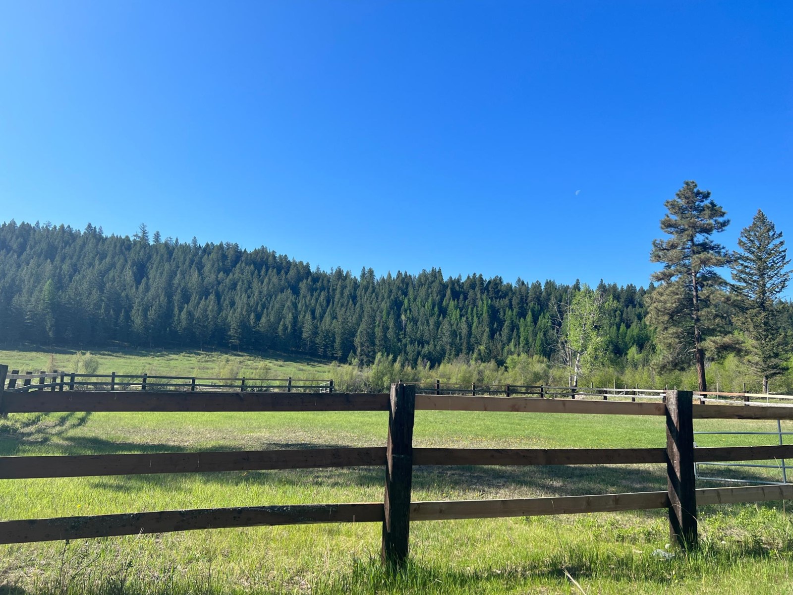 For sale 5612 WOLF CREEK ROAD, Wasa, British Columbia V1C4H5 2476417 REALTOR.ca